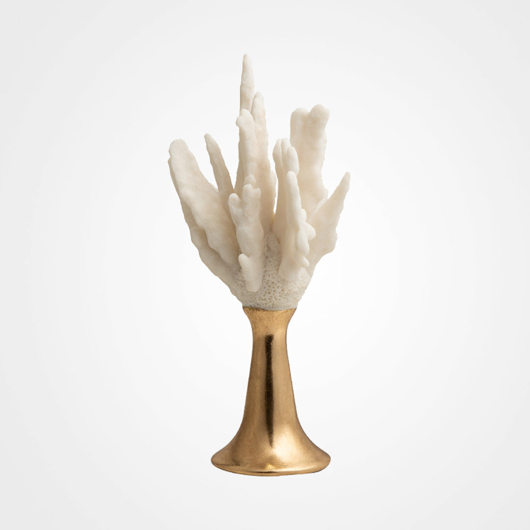 LA-SZ23033 Coral Décor