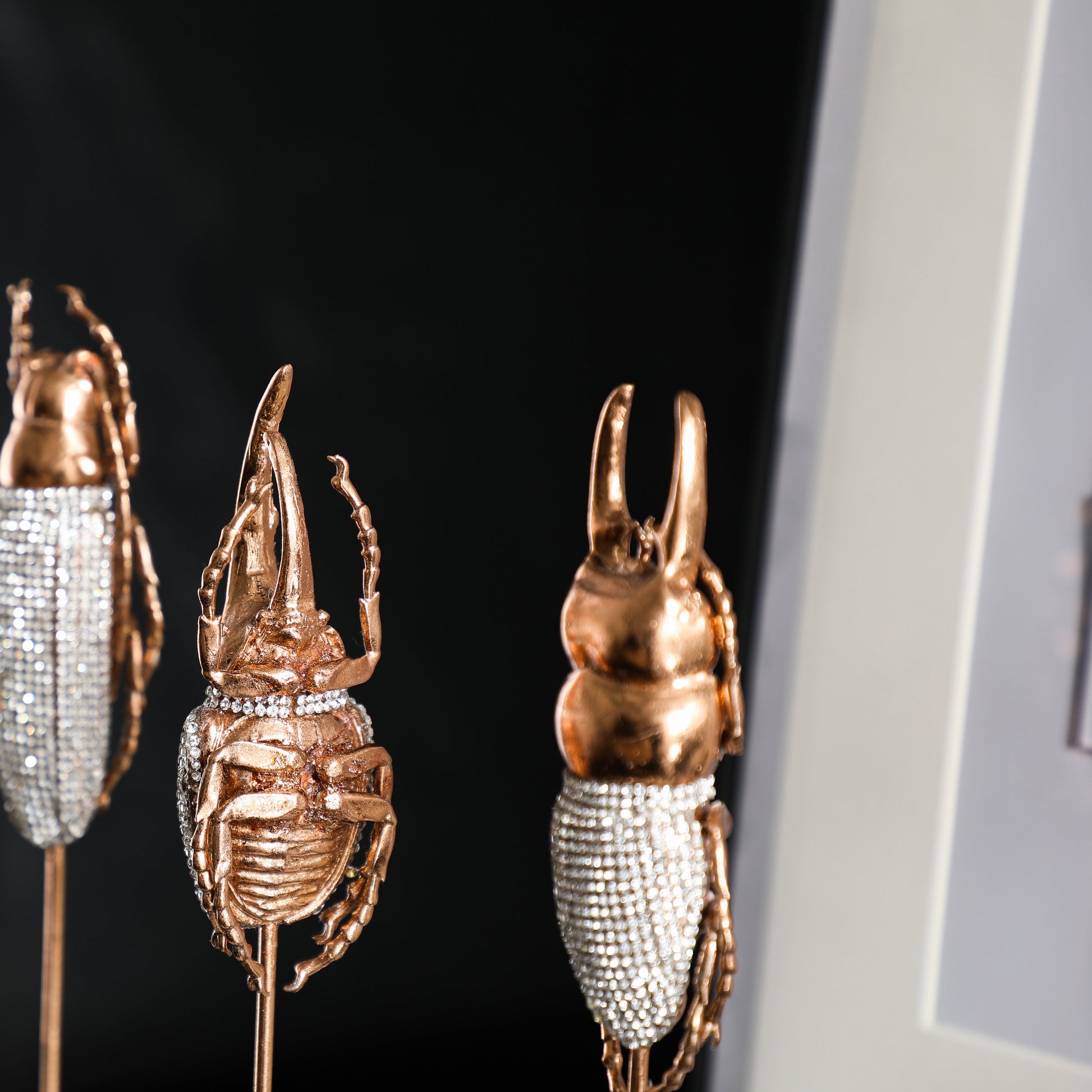 LA-SZ23018 Insect Décor