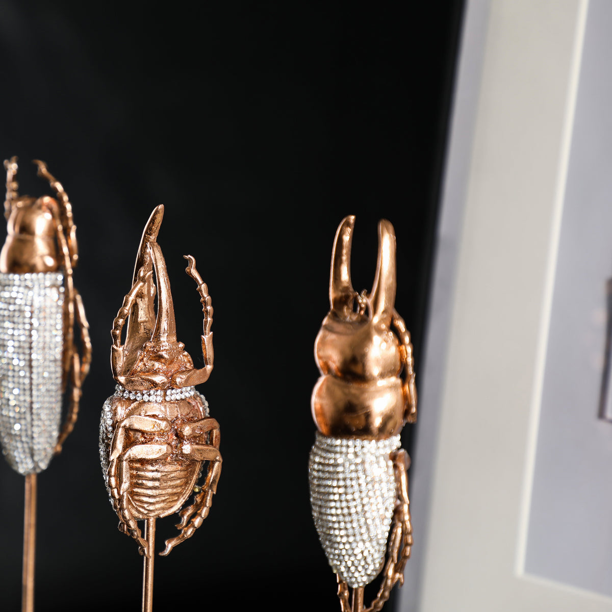 LA-SZ23018 Insect Décor